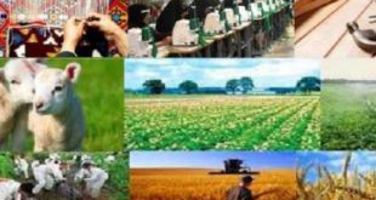 کرمانشاه در رتبه اول ایجاد اشتغال از محل تسهیلات کشور قرار گرفت 