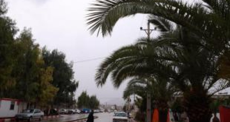  سرعت وزش باد در شهرستان سرپل ذهاب به 9 متر بر ثانیه رسید 