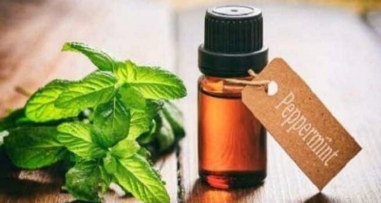 روغن نعناع به تسکین مشکل بلع کمک می کند