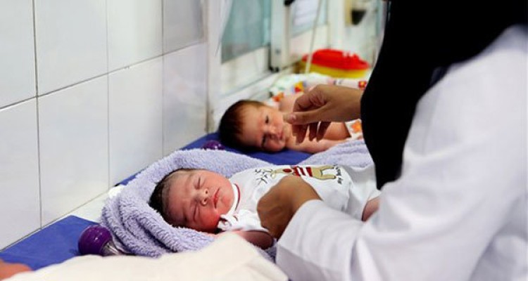 وضعیت معلولیت بچه های IVF/میزان شیوع معلولیت های خویشاوندی