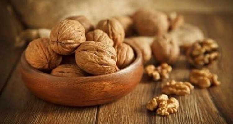 گنجاندن گردو در رژیم غذایی بهترین راهکار کاهش کلسترول