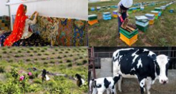  ثبت نام ۱۸۰۰۰ طرح روستایی و عشایری برای دریافت تسهیلات اشتغال 