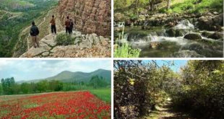 ناب‌ترین چشم‌اندازها در سرزمین «سنگ و آب»/ از دره اژدها تا تجربه زندگی روی ابرها 