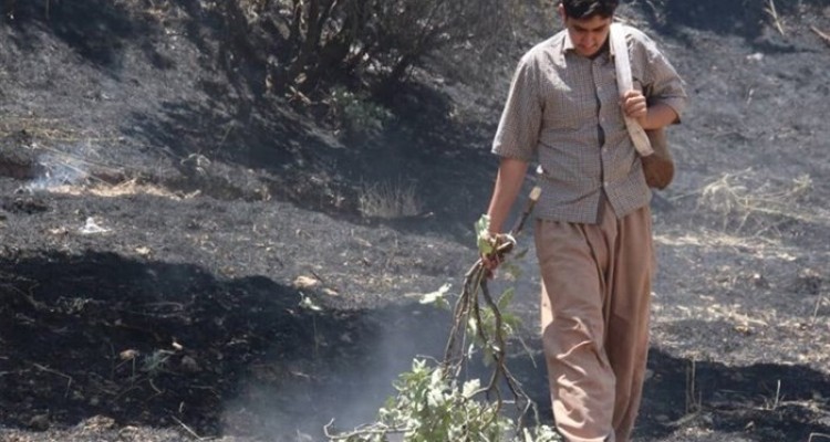 آتش سوزی کوه ارمنیجان و حومه بخش دینور مهار شد