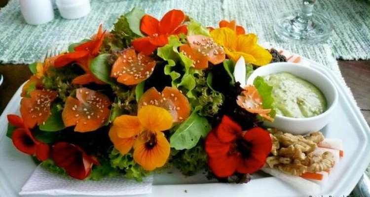  گل‌های خوراکی و خواص آن‌ها