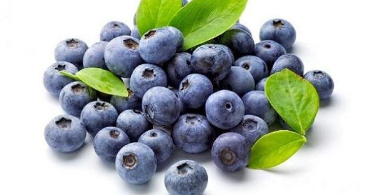 مصرف بلوبری برای سلامت قلب مفید است