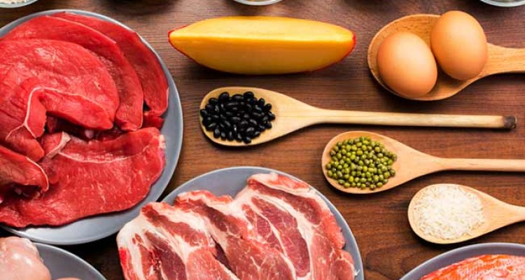  خطر رژیم صرف پروتئین حیوانی برای سلامتی