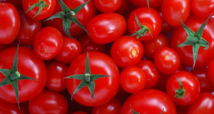  تاثیر منفی آهن بر خاصیت ضدسرطانی گوجه فرنگی