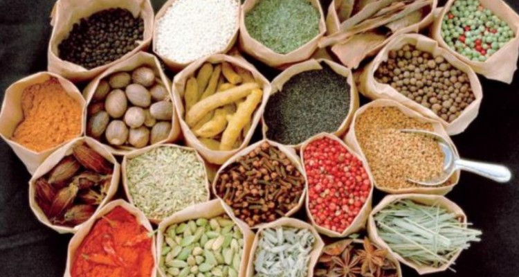 شهرستان صحنه برای کشت گیاهان دارویی مستعد است