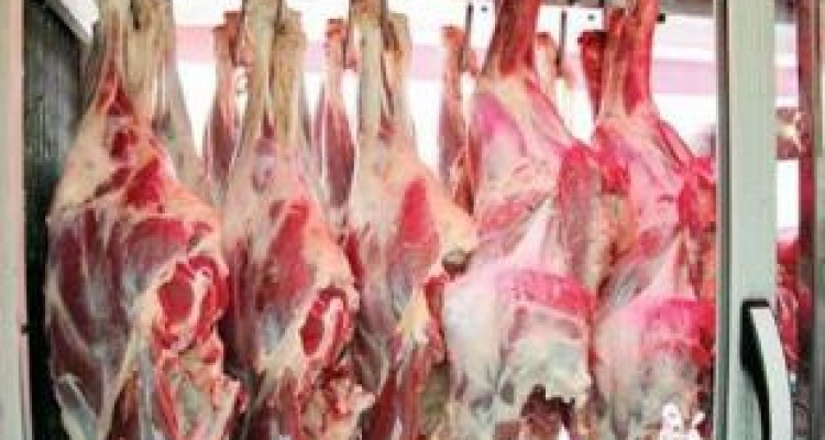  تشکیل ۶۵ پرونده برای قصابی‌های متخلف در کرمانشاه 