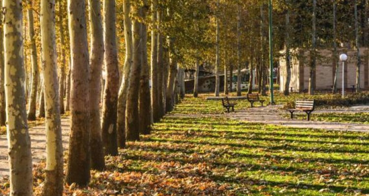 	طبیعت زیبایی شهرستان صحنه 