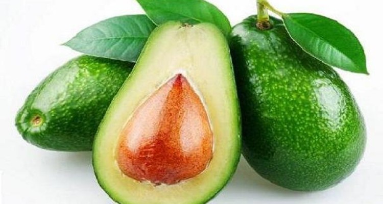 خوردن روزانه «آووکادو» به کاهش کلسترول بد کمک می کند
