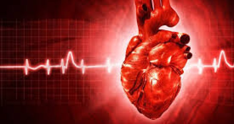  فوائد پیاده‌روی و دوچرخه‌سواری برای سلامت قلب