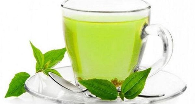 تاثیر چای سبز در مقابله با بیماری سل