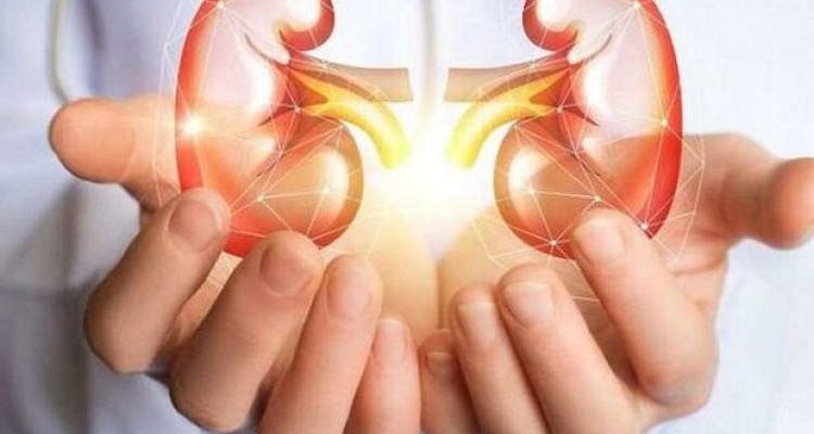 بیماری قلبی عامل افزایش خطر نارسایی کلیوی