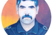 	شکار پرنده تیزپرواز هوانیروز در آشیانه 