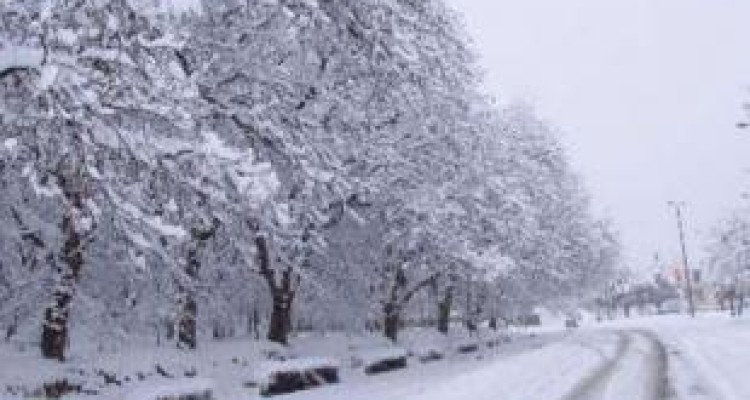 پیش‌بینی بارش برف و باران در کرمانشاه 