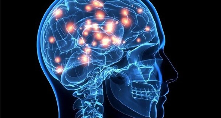 ارتباط قلب سالم در ۲۰ سالگی و داشتن مغز سالم تر در سنین بالا