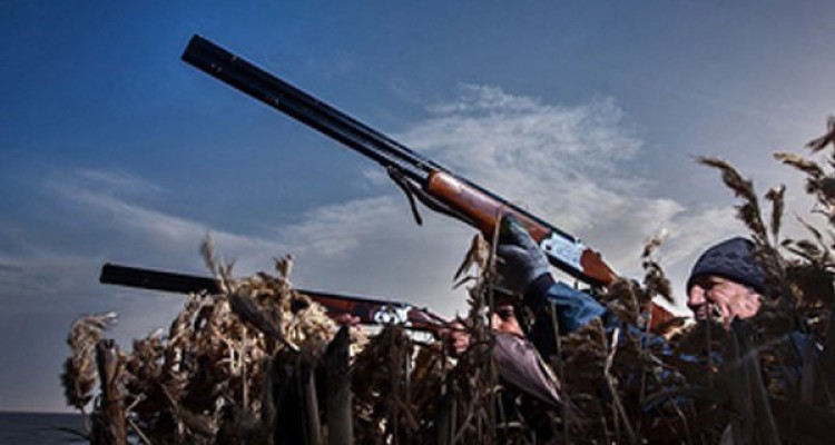 تروریسم محیط‌زیستی در میانکاله/جنایت ادعایی در توان شکارچیان نیست