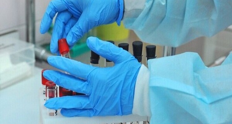 افزایش شمار فلسطینیان مبتلا به کرونا به ۲۱۷ نفر