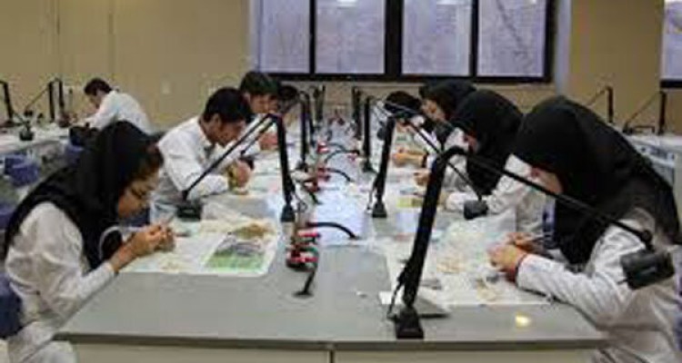 درآمد ۱۳ هزار میلیارد تومانی پارک‌های علم و فناوری