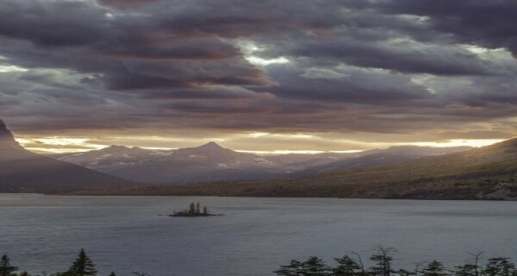 عکسی که موبایل های اندروید را از کار می‌اندازد