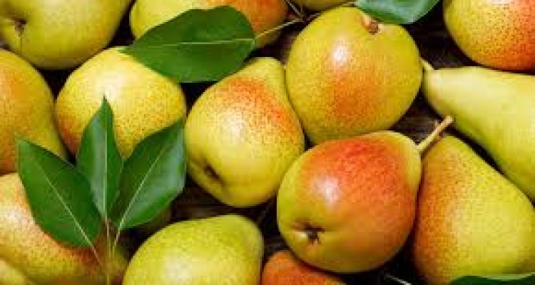  میوه‌های مفید برای کاهش وزن