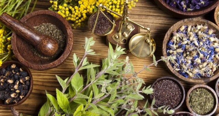 توصیه‌هایی برای افزایش سطح ایمنی بدن/مصرف دمنوش برای کودکان ممنوع