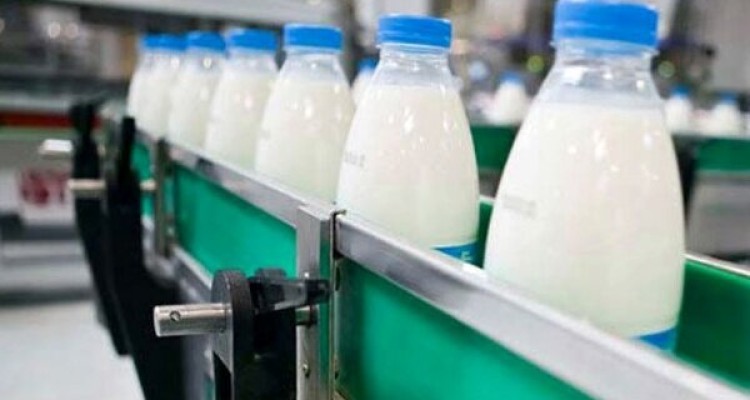 کودکان روزانه چند لیوان شیر بخورند/خواص شیر مادر