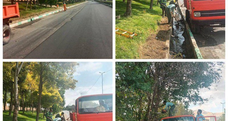 هرس پاییزی درختان در سطح شهر صحنه در حال انجام است