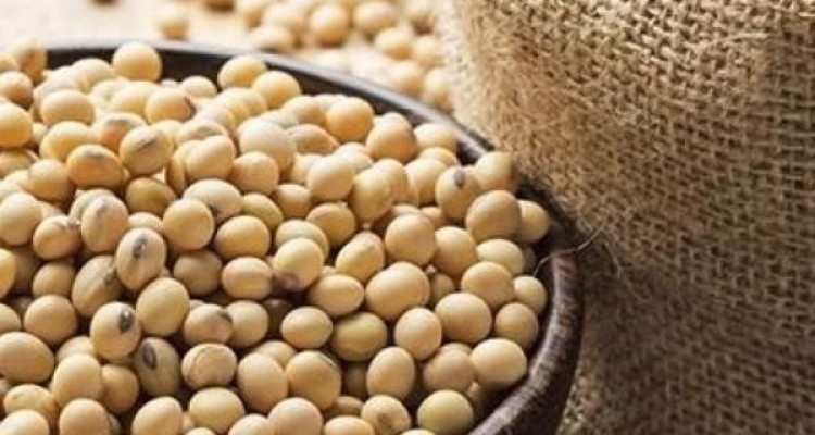 مصرف سویا در کاهش ابتلا به زوال عقل موثر است