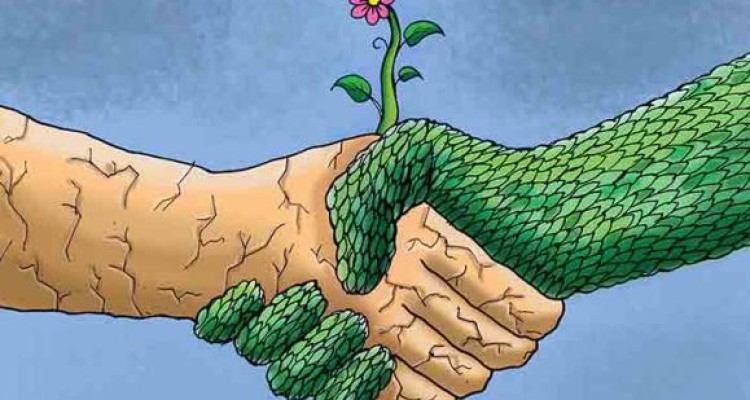 با طبیعت مهربان باشیم / مجموعه کارتون های محیط زیست