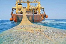 زخمی که «ترال» بر پیکر دریا زد/ دستان صیادان محلی خالی است