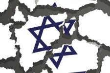  زدی ضربتی، ضربتی نوش کن