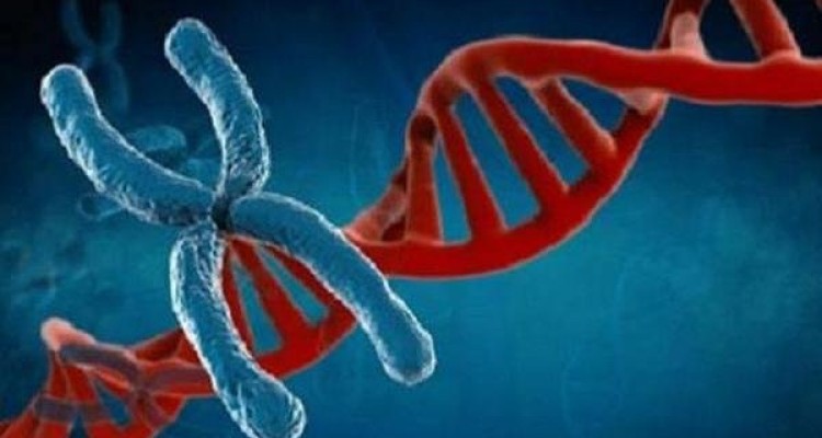 ارتباط نقایص مادرزادی نوزاد و ریسک بالای سرطان در بزرگسالی