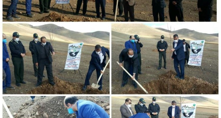 عملیات بیولوژیک درختکاری و تقویت پوشش گیاهی در شهرستان صحنه آغاز شد + عکس
