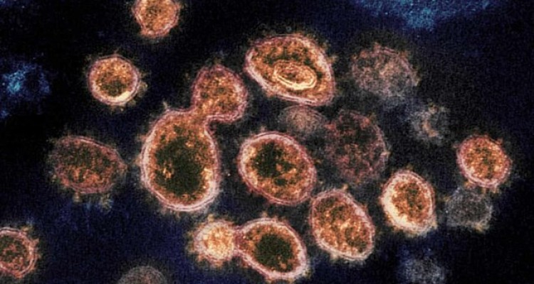  عوارض طولانی مدت کرونا در کدام بیماران بروز می‌کند؟