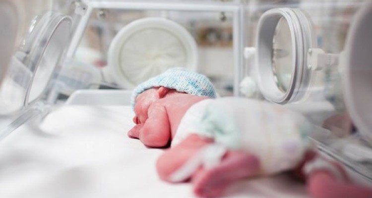 تاثیر قرارگیری در معرض فلزات بر بارداری 