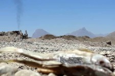 برداشت غیر اصولی از رودخانه گاماسیاب باعث مرگ بیش از 5 هزار ماهی شد + عکس