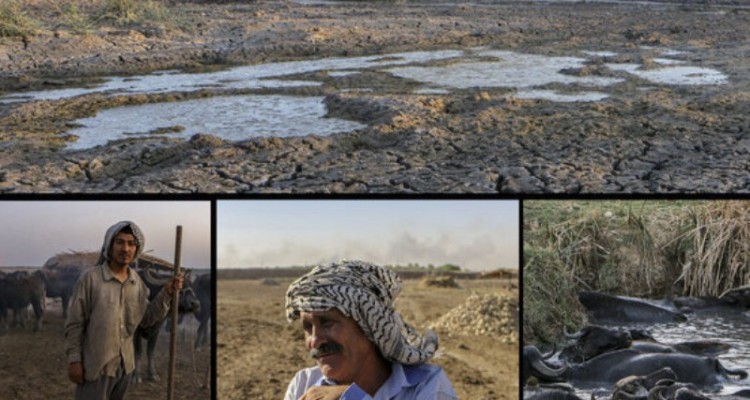 خوزستانِ تشنه؛ خشکسالی یا سوءتدبیر؟!