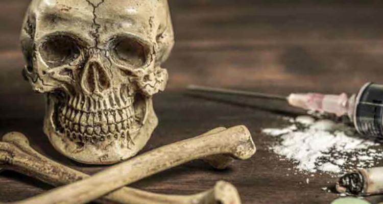 کشف 33 کیلوگرم ماده مخدر گل و گراس در صحنه/ یک قاچاقچی دستگیر شد