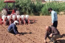 آغاز کشت بذر چغندرقند پاییزه در سطح مزارع شهرستان سرپل ذهاب