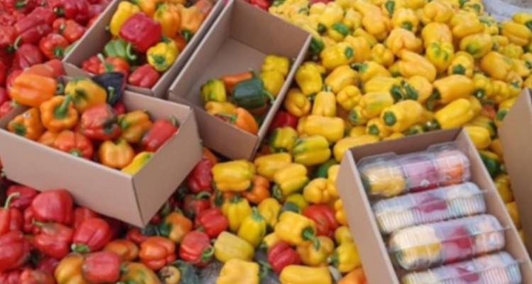 ضررصیفی کاران از ممنوعیت صادرات فلفل‌ به روسیه/دیپلماسی غذایی به کجا رسید؟