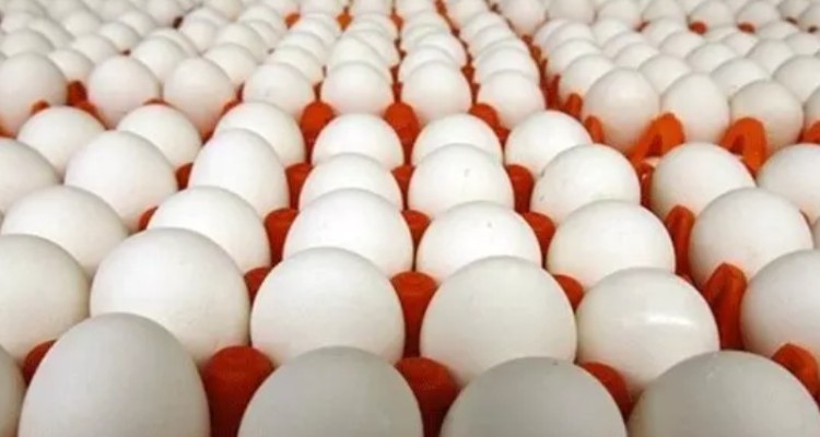 ارز ۴۲۰۰ تومانی در دی ماه هم اختصاص می یابد