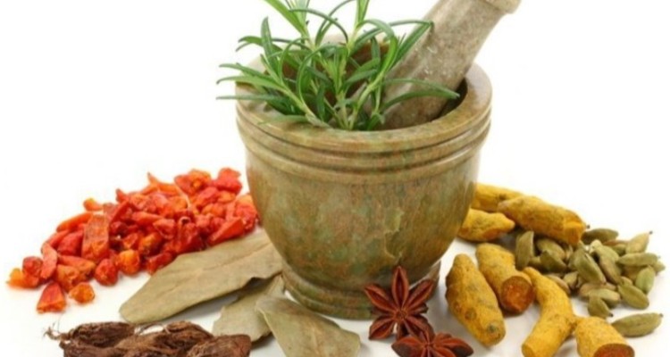 راهکارهای تغذیه‌ای طب سنتی برای تقویت سیستم ایمنی بدن در آلودگی هوا