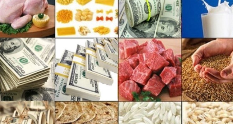 چرا همه منابع ریالی ارز ۴۲۰۰ مستقیم به مردم اختصاص نیافت؟/ ردی از پول آزادسازی ارز دولتی در تبصره ۱۴ و جدول هدفمندی نیست