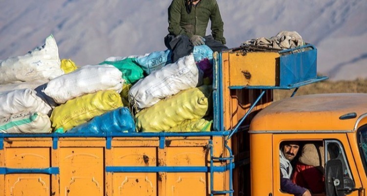 صادرات سیب زمینی متوقف شد