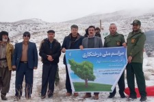 پویش ملی نهال کاری در صحنه