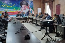 ۶۰۰ اصله درخت مبتلا به آفت در پارک جنگلی جوادآباد صحنه