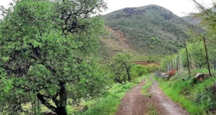 بهار ۱۴۰۳ در روستاهای دینور